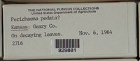 Image Associated With the Occurence